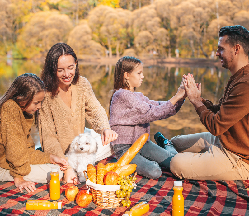 Broad River Campground The Best RV Campground Broad River