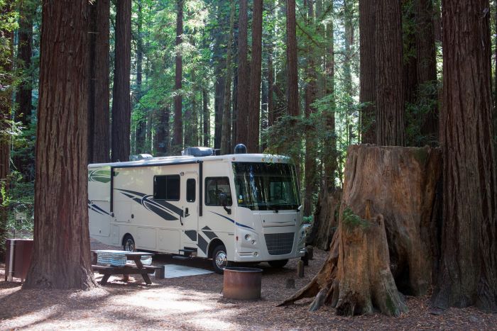 Class A RV A Class A motorhome parked among the trees at a campground.