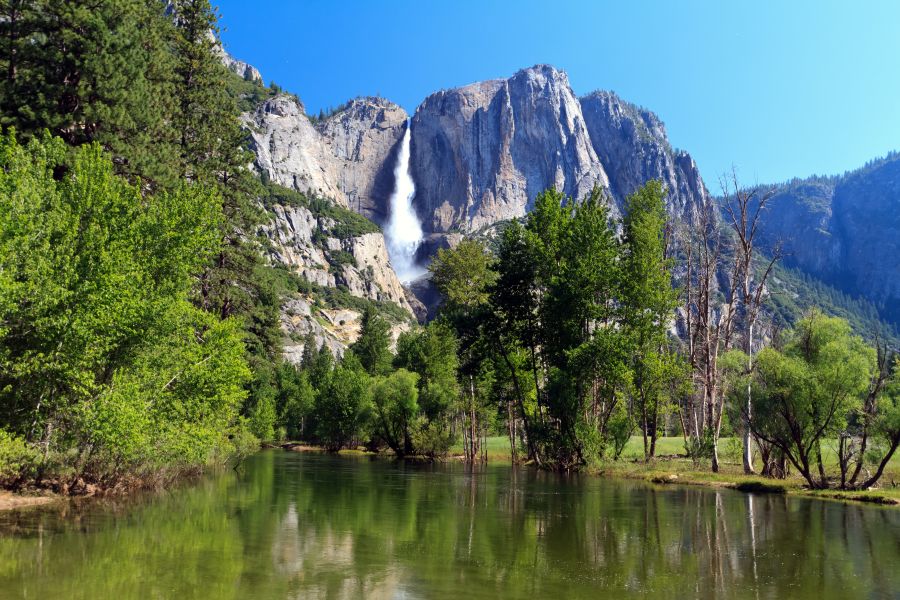 A view of Yosemite falls with trees in front of it