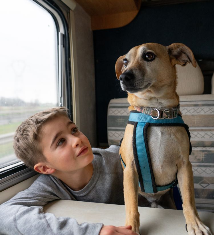 Boy traveling in a motorhome with his dog 