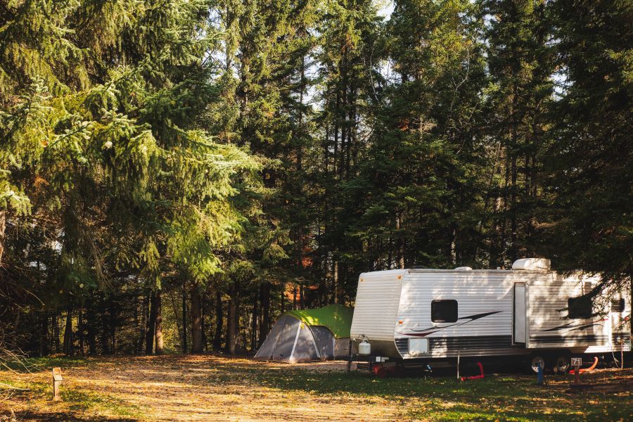 camper trailer and tent surrounded by tall pine trees parked in a campsite 