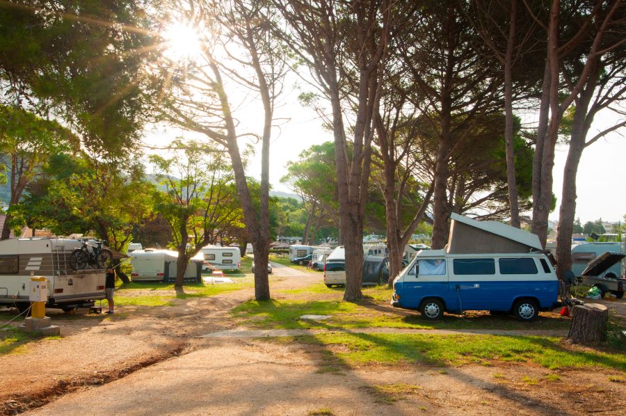Rvs at the campsite