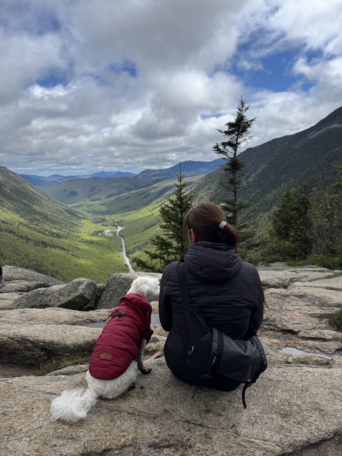 Guest blogger Melinda and her dog enjoy a view on a camping trip. 